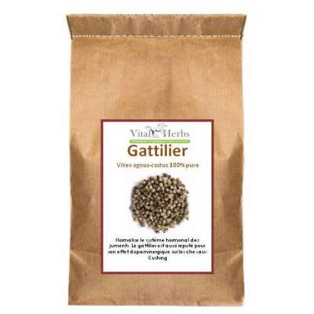 Gattilier Vitex