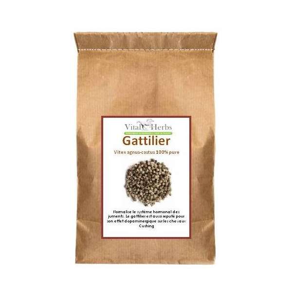 Gattilier Vitex