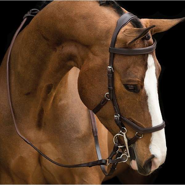 Rambo Micklem Original Competition Bridle