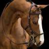 Rambo Micklem Original Competition Bridle