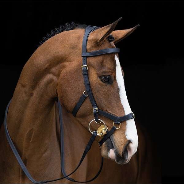 Rambo Micklem Multibridle