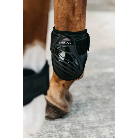 Young Horse Fetlock Boots