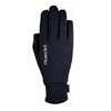 Gloves Weldon Polartec Roeckl