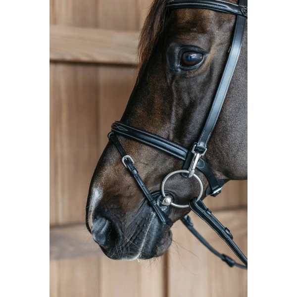 Training Bridle Working by Dy'on