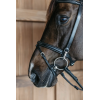 Training Bridle Working by Dy'on