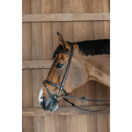 Training Bridle Working by Dy'on