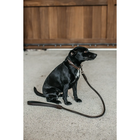 Laisse pour chien tressée Dy'on