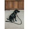 Braided Dog Leash Dy'on