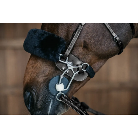 Hackamore protection Dy'on