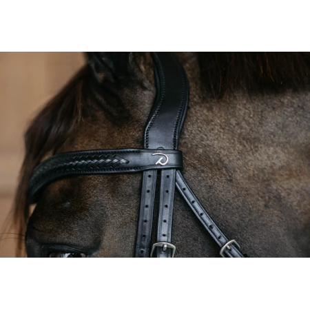 Plaited Flash Noseband Bridle with Pull back Dy'on