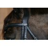 Plaited Flash Noseband Bridle with Pull back Dy'on