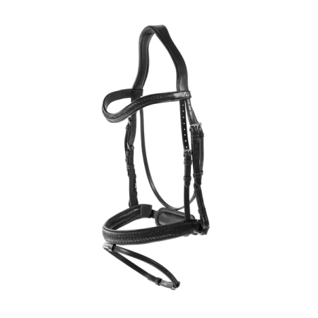 Plaited Flash Noseband Bridle with Pull back Dy'on