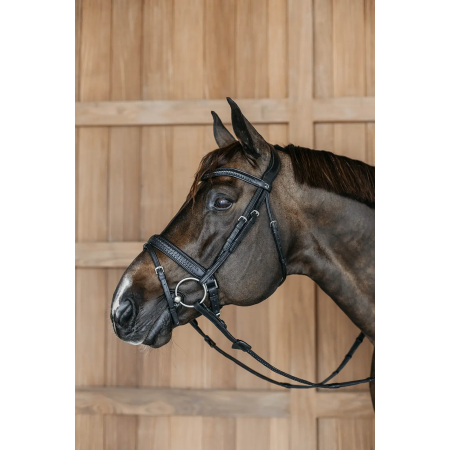 Plaited Flash Noseband Bridle with Pull back Dy'on