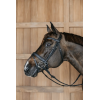 Plaited Flash Noseband Bridle with Pull back Dy'on