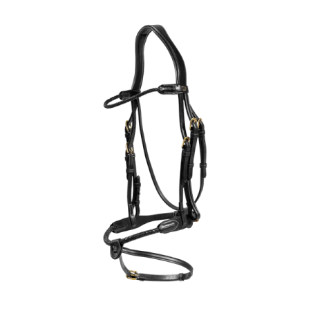 Braided Flash Noseband Bridle Dy'on