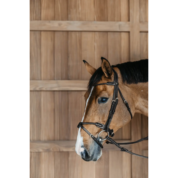 Braided Flash Noseband Bridle Dy'on