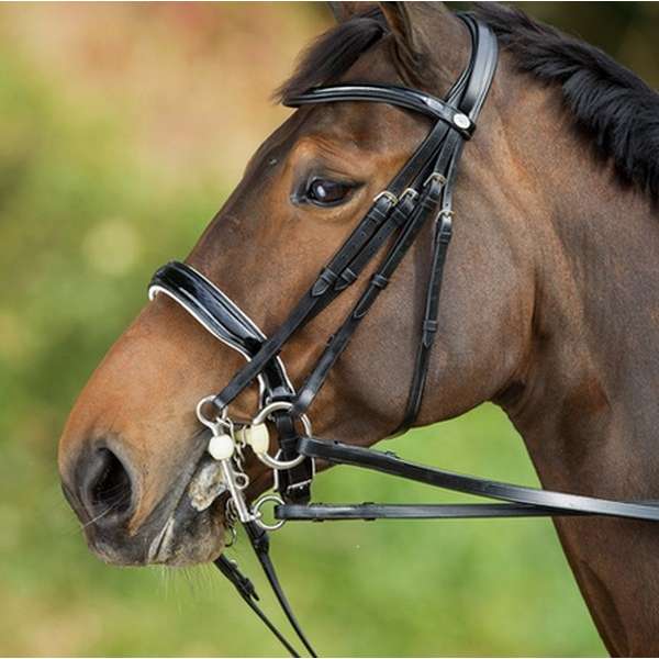 Weymouth Dressage Bridle