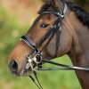 Weymouth Dressage Bridle