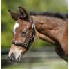 Thin Leather Foal/Shetland Headcollar