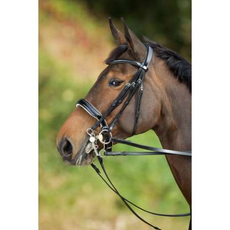 Weymouth Dressage Bridle