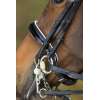 Weymouth Dressage Bridle