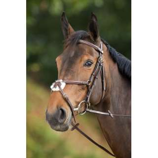 Mexican Bridle