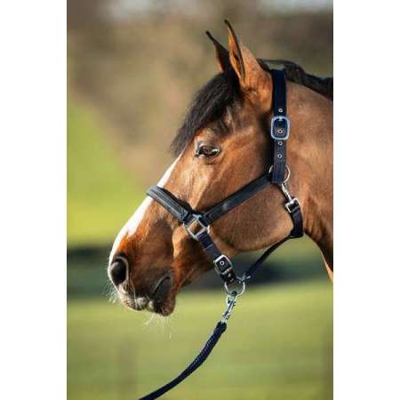 “FIRST” nylon halter