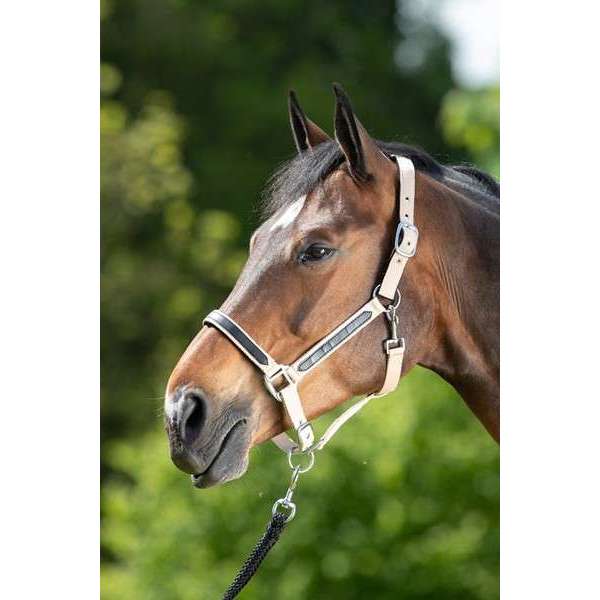 “FIRST” nylon halter