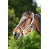 “FIRST” nylon halter