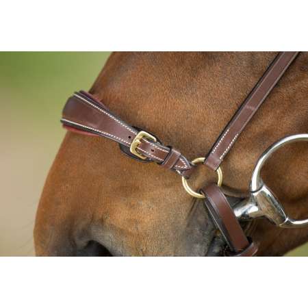 Drop Noseband Bridle