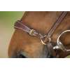 Drop Noseband Bridle