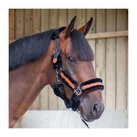 Headcollar Penelope Soft