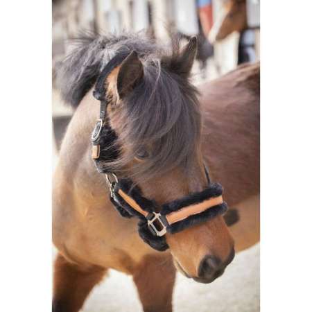 Headcollar Penelope Soft