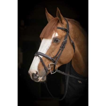 Penelope Oxford Bridle