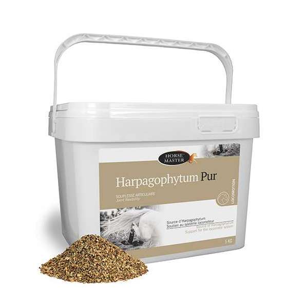 Harpagophytum