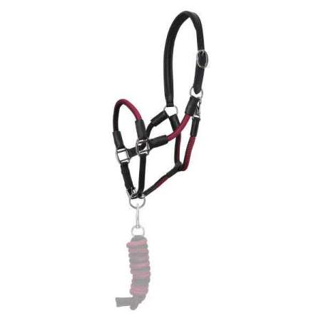 HVPFrankie Headcollar