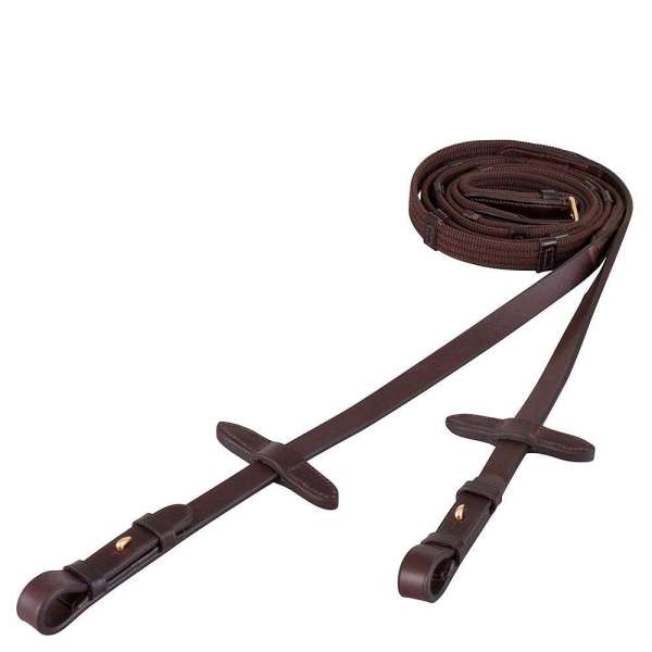 BR Web Reins