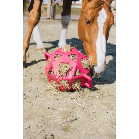 Relax Horse Play & Hay Ball