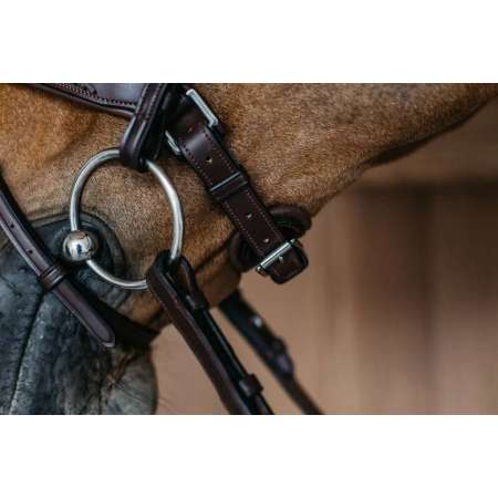 Plaited Flash Noseband Bridle with Pull back