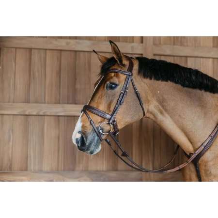 Plaited Flash Noseband Bridle with Pull back