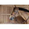 Plaited Flash Noseband Bridle with Pull back