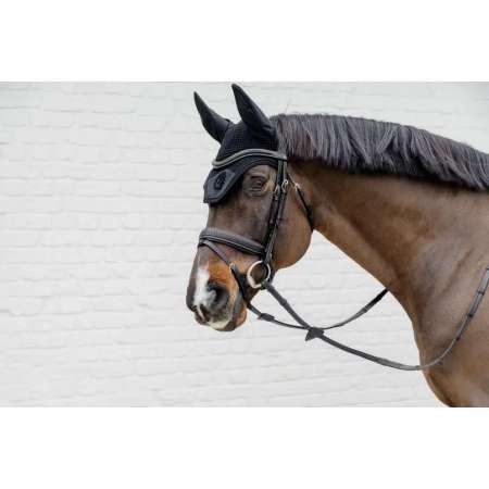 Plaited Flash Noseband Bridle with Pull back