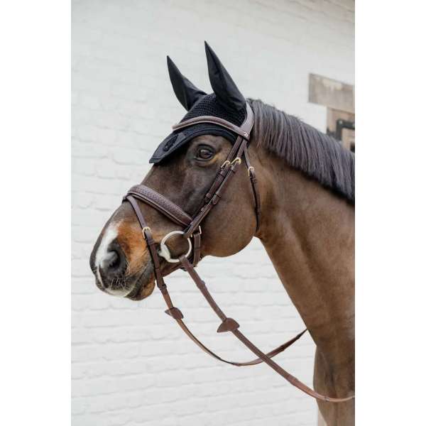 Plaited Flash Noseband Bridle with Pull back