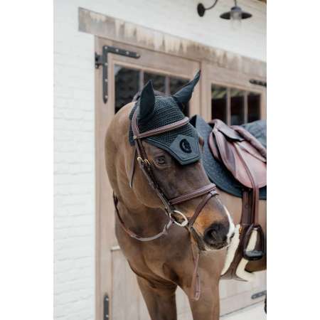 Plaited Flash Noseband Bridle