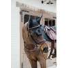 Plaited Flash Noseband Bridle