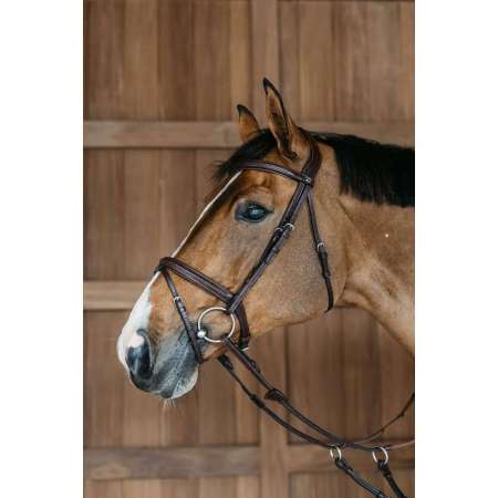 Plaited Flash Noseband Bridle