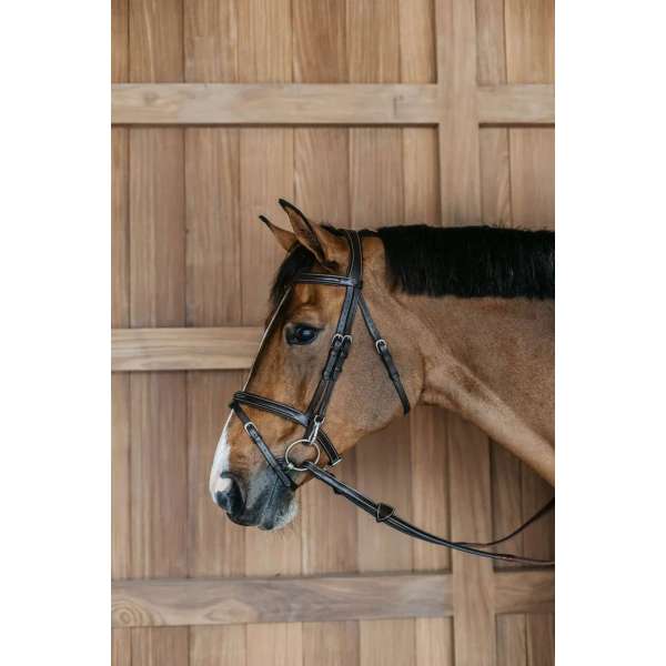Flash Noseband Bridle with Snap Cheekpieces