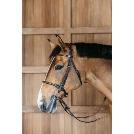Round Leather Bridle