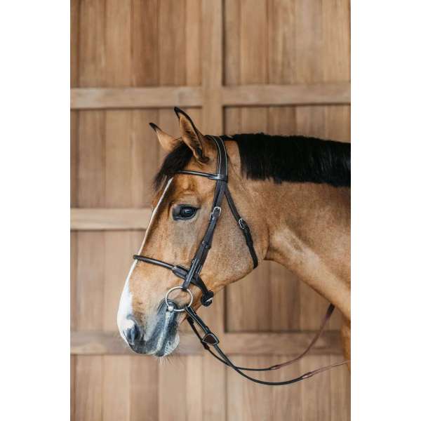 Round Leather Bridle