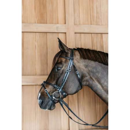 Round Leather Bridle